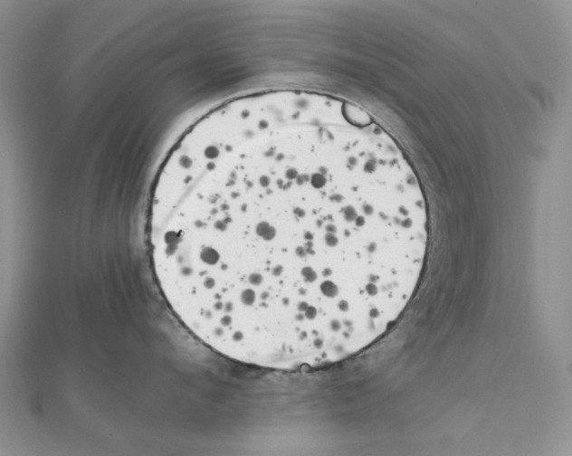 X0000111630912200908281132