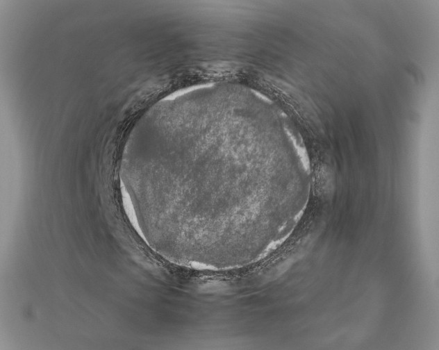 X0000111630913200908281131