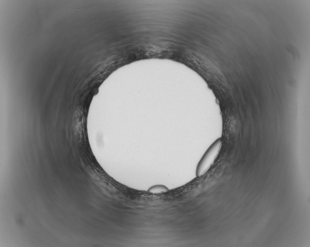 X0000111630914200908281131