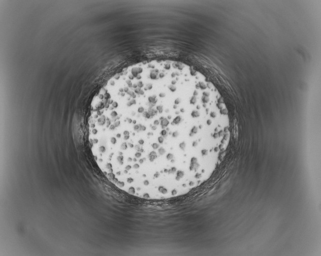 X0000111630915200908281131