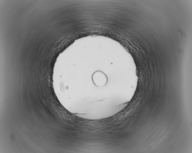 X0000111630916200908281131