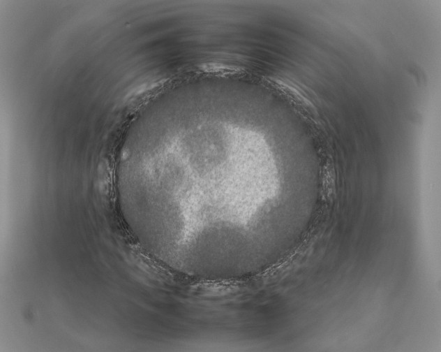 X0000111630917200908281131