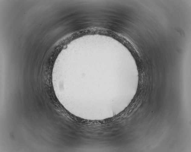 X0000111630919200908281131