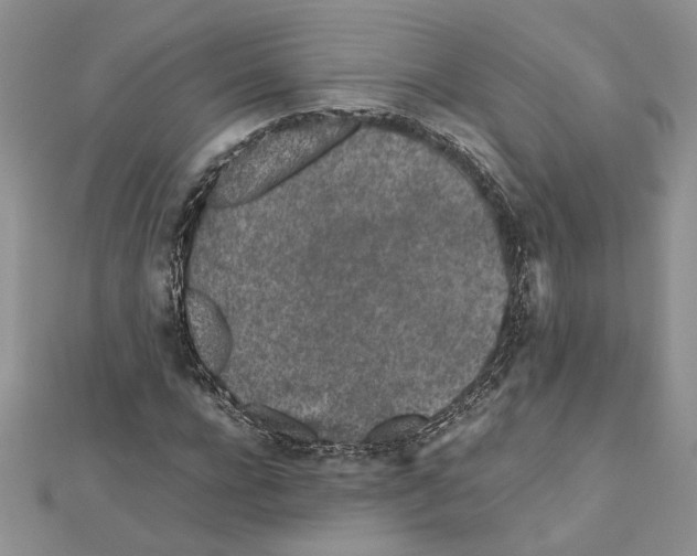 X0000111630920200908281131