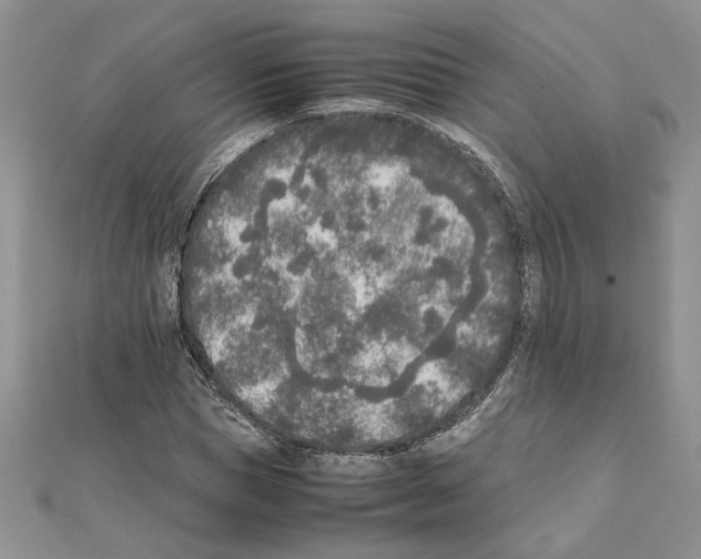 X0000111630921200908281131