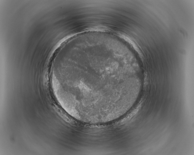 X0000111630923200908281131