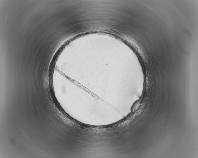 X0000111630924200908281131