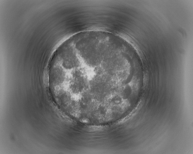 X0000111630925200908281131