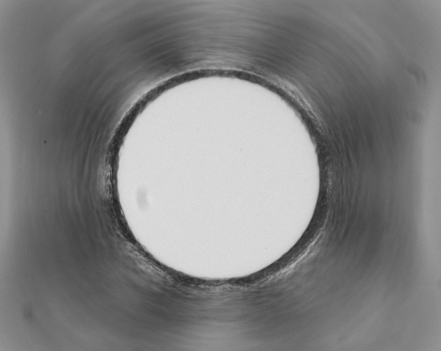 X0000111630926200908281131
