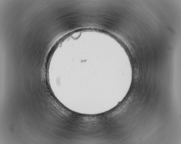 X0000111630927200908281131