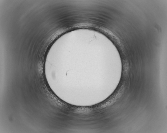 X0000111630929200908281131