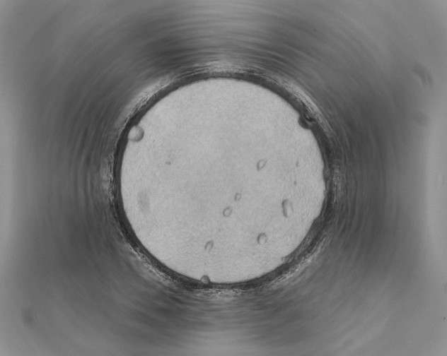 X0000111630930200908281131