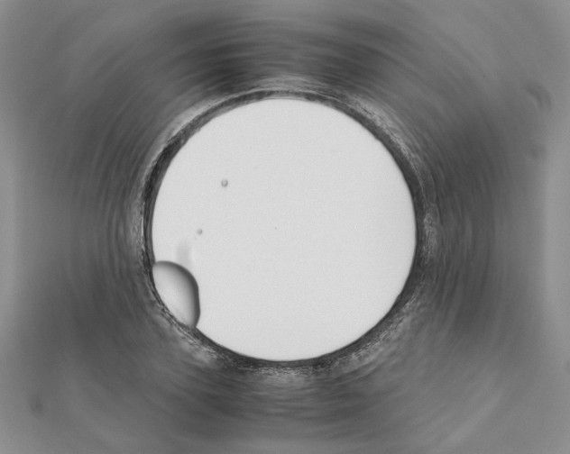 X0000111630931200908281131