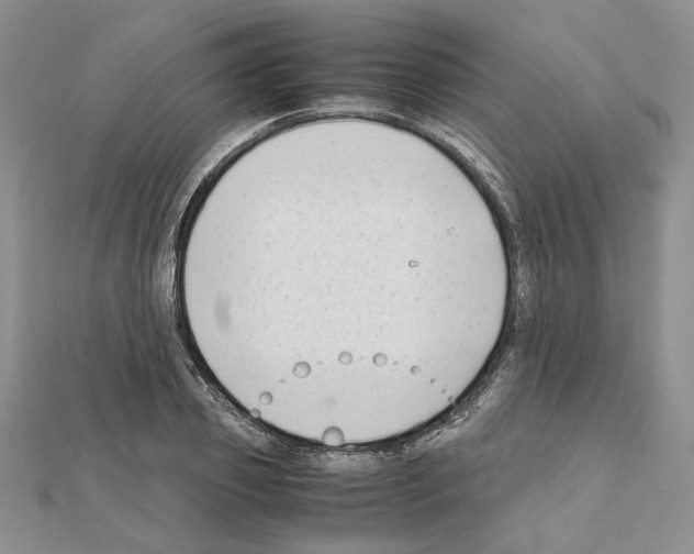 X0000111630933200908281131