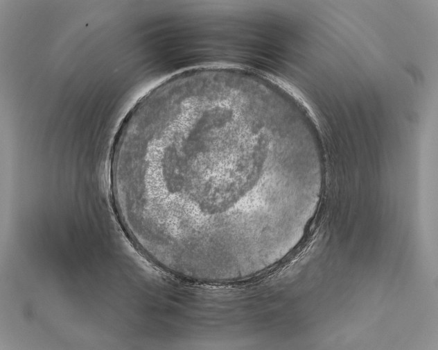 X0000111630935200908281131