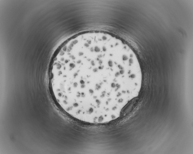 X0000111630936200908281131
