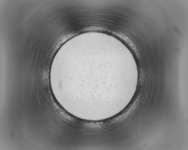 X0000111630937200908281131