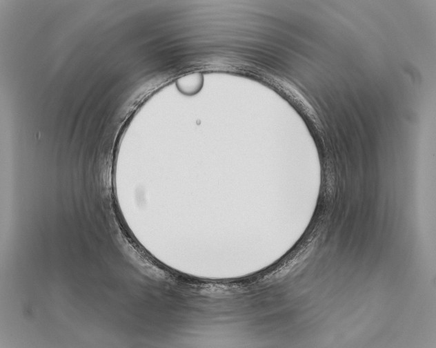 X0000111630938200908281131
