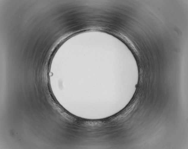 X0000111630939200908281131
