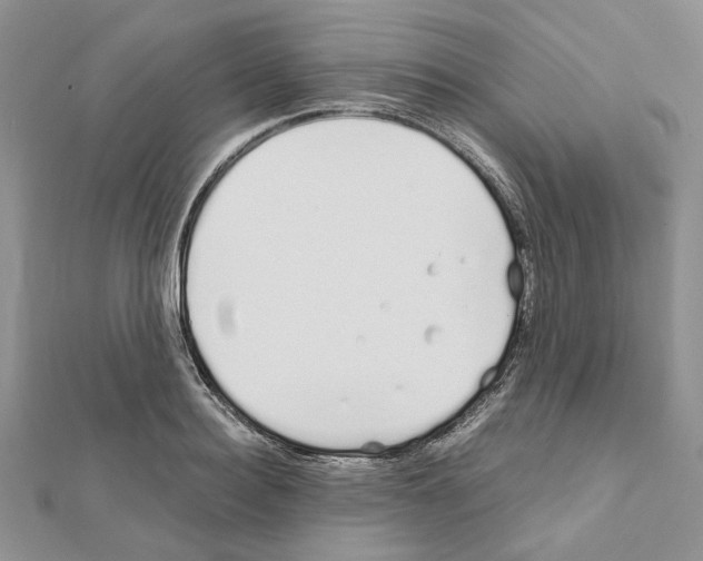 X0000111630940200908281131