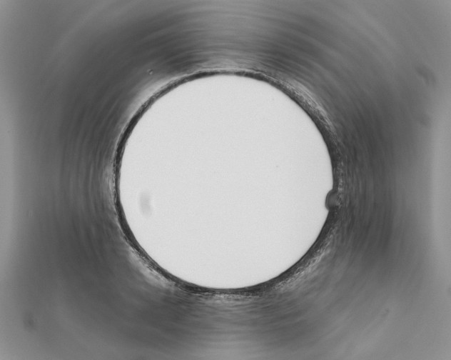X0000111630942200908281131