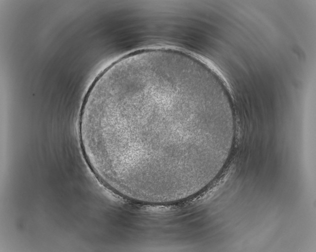 X0000111630943200908281131