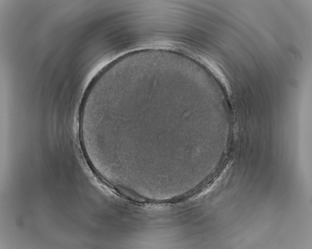 X0000111630944200908281131