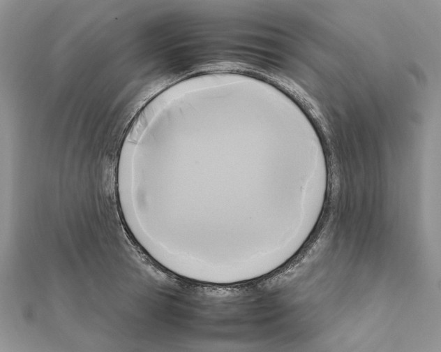X0000111630945200908281131
