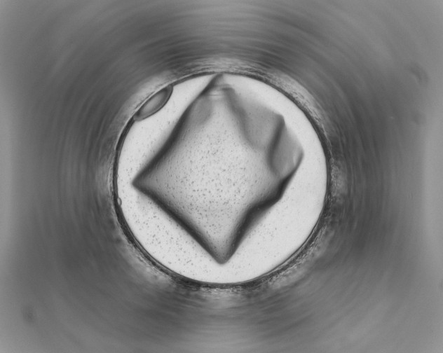 X0000111630946200908281131