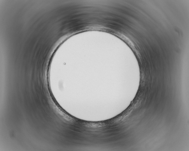 X0000111630947200908281131