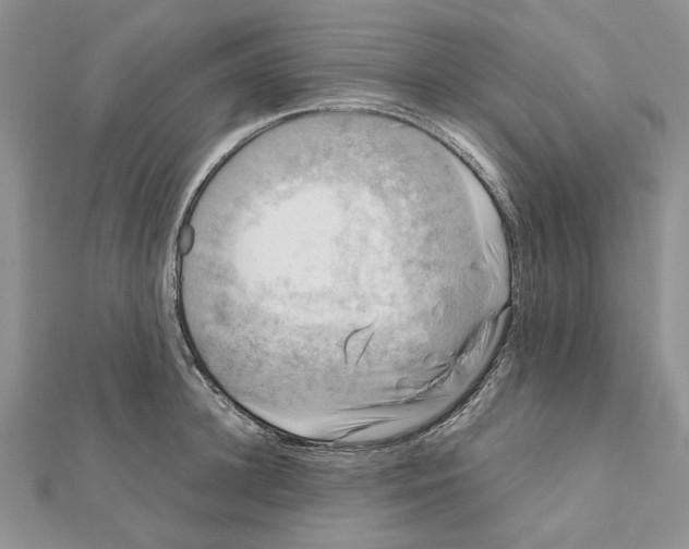 X0000111630948200908281131