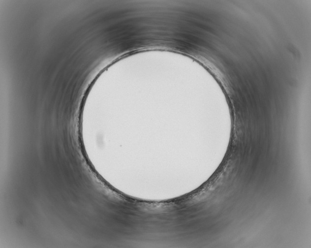 X0000111630949200908281131