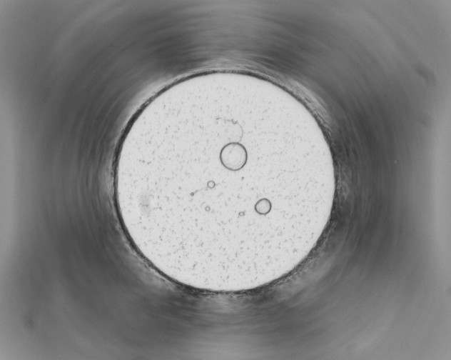 X0000111630950200908281131