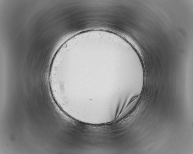 X0000111630951200908281131