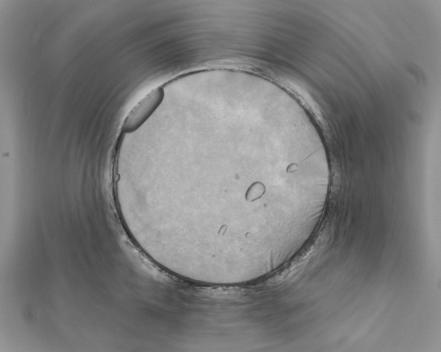 X0000111630952200908281131