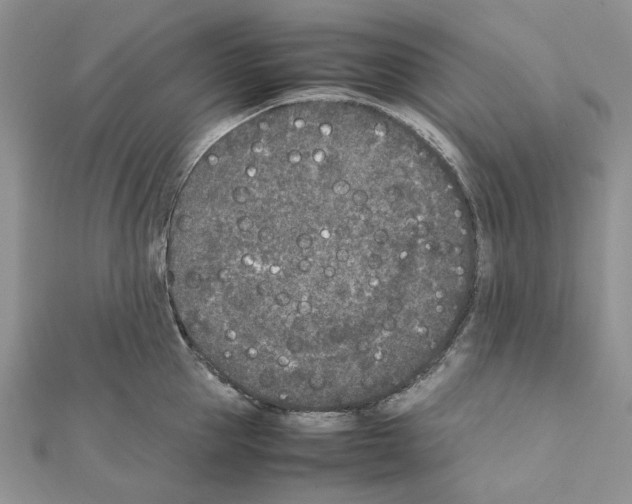 X0000111630953200908281131