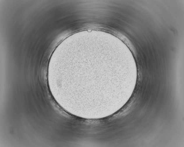 X0000111630954200908281131