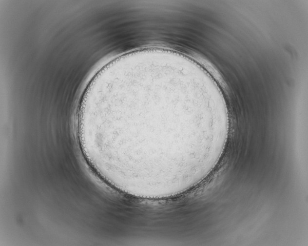 X0000111630955200908281131