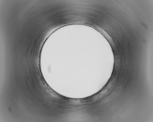 X0000111630956200908281131