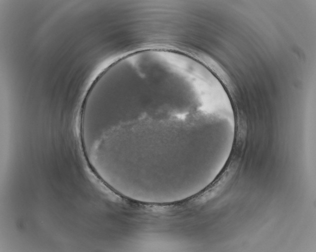 X0000111630958200908281131