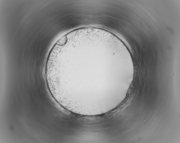 X0000111630959200908281131