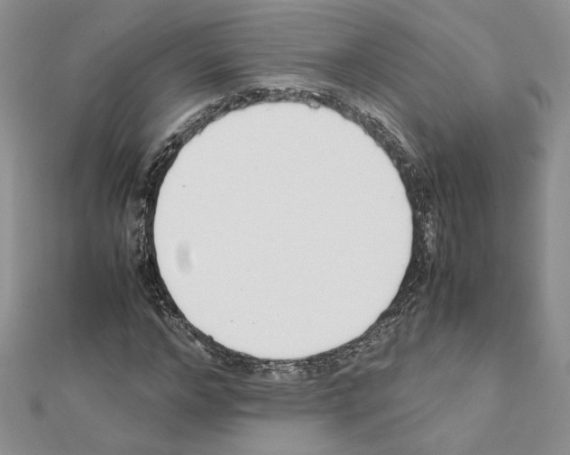 X0000111630968200908281131