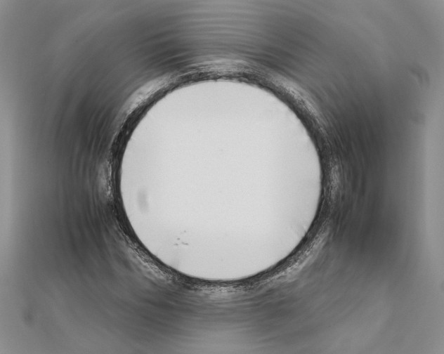 X0000111630970200908281131