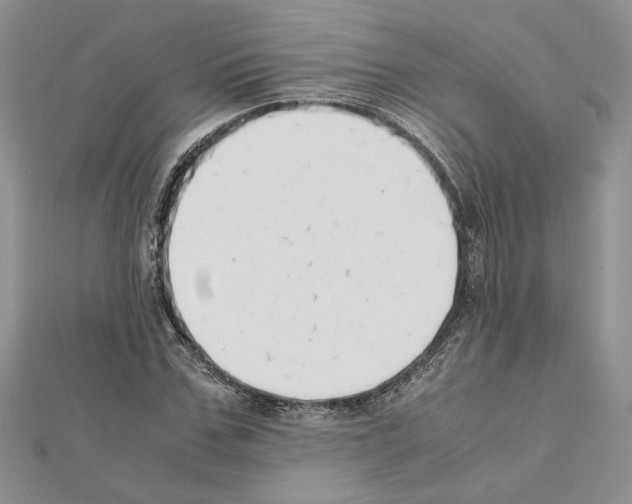 X0000111630971200908281131