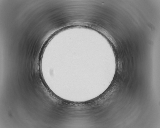 X0000111630972200908281131