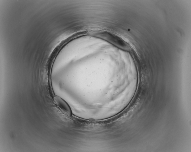 X0000111630973200908281131