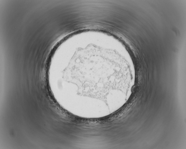 X0000111630975200908281131