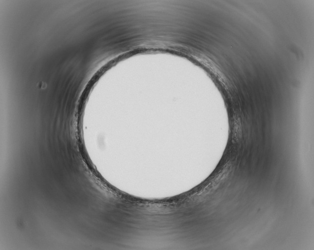 X0000111630976200908281131