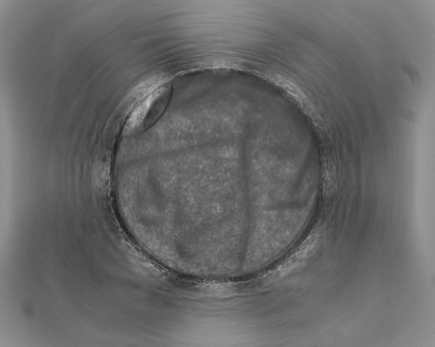 X0000111630977200908281131