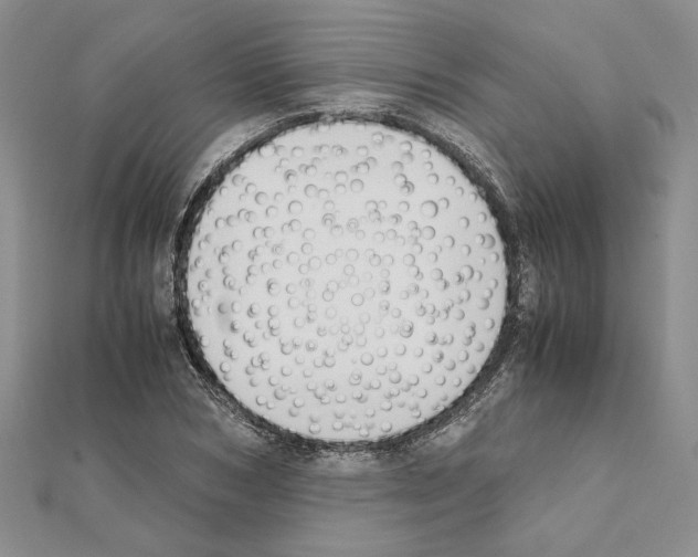 X0000111630978200908281131